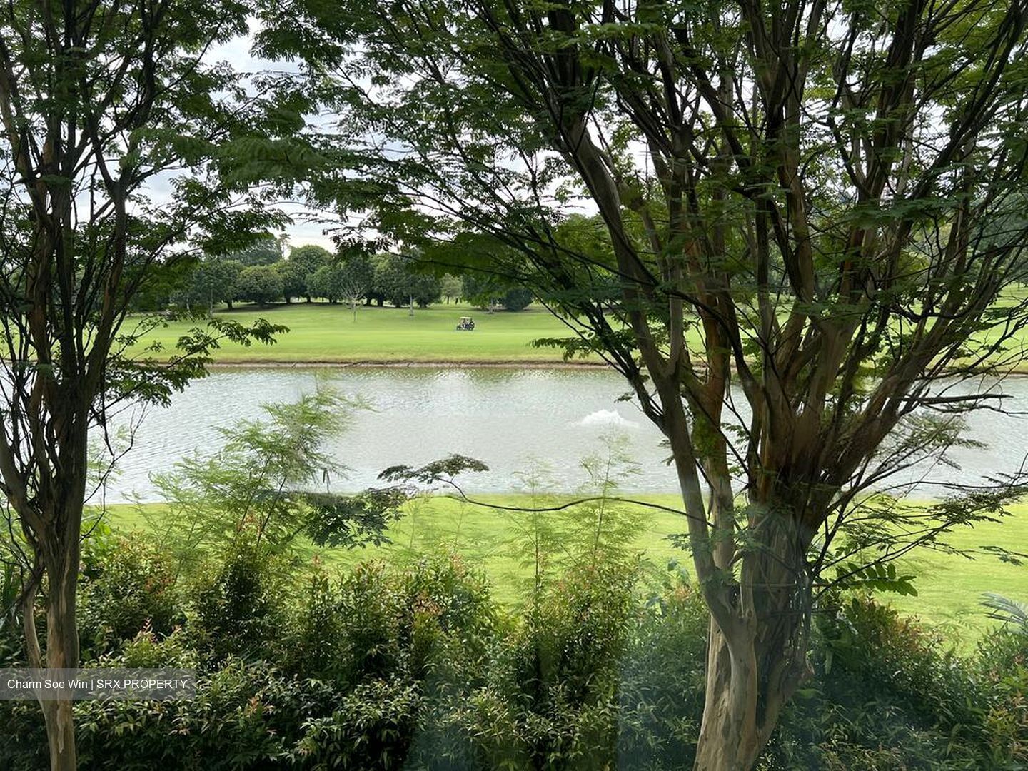 Cove Drive (D4), Terrace #438891501